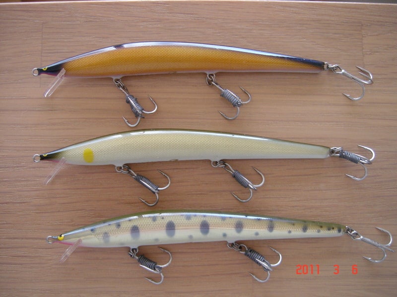 Sports SAURUS ① Balsa 50 Brownny | 鱒ノ道