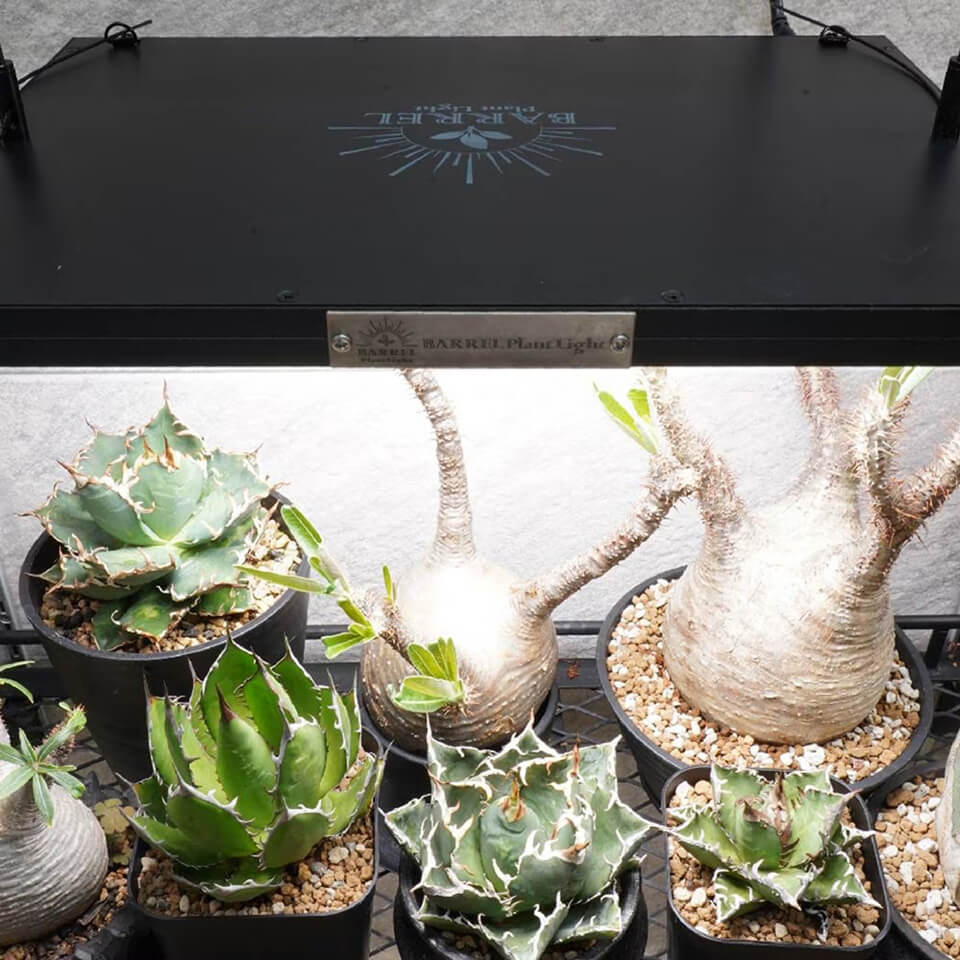 楽天市場】パネルライト【ROKI‐350 100W】ロキBARREL リニューアル版