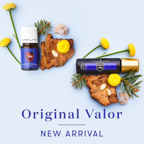 新製品、限定販売製品、キャンペーン製品を一覧でご紹介しています