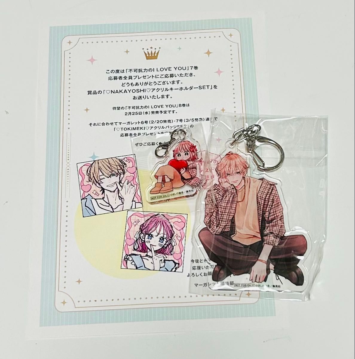 映画 LOVE SONG ピックキーホルダー｜Yahoo!フリマ（旧PayPayフリマ）