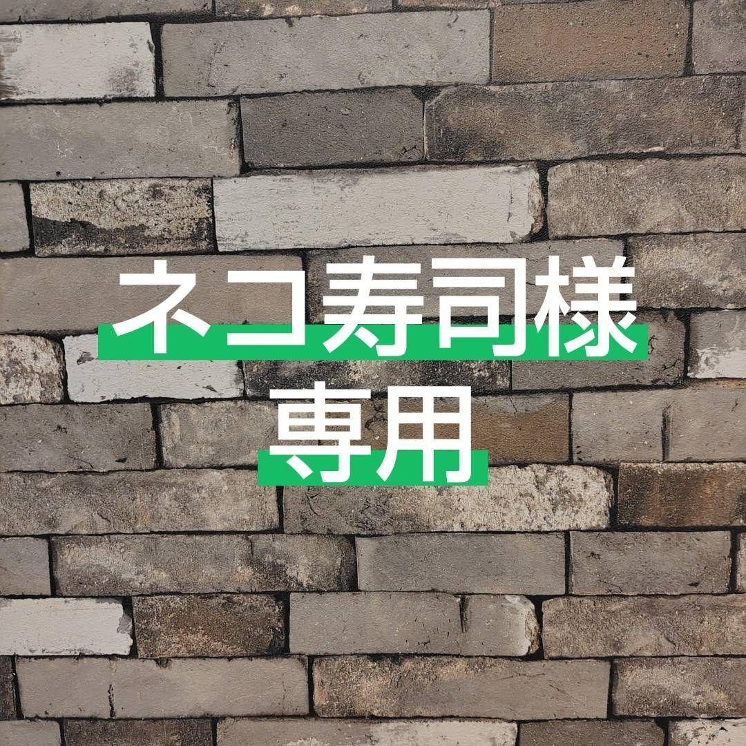 ネコ寿司　TOMIX「駅モジュールセット(島式)」 鉄道模型ジオラマ 61P3xJ6dJJL._AC_UF894,