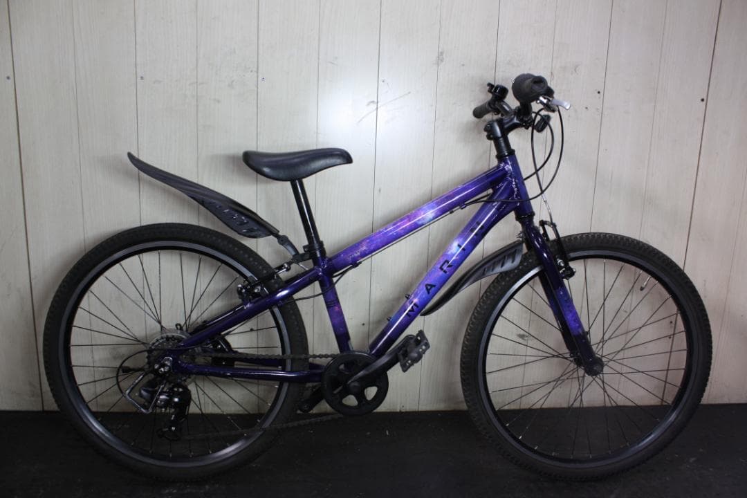 Tomohiko Fujinoiページ Mokuhankan Flea Market : 36 Views of Mt. Fuji - Full Set (Adachi)